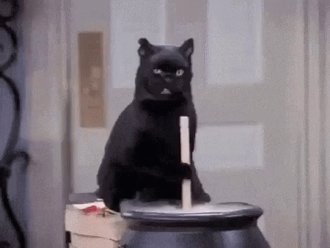 1573717236_StirringandPurring.gif.1c74216435139d036f2cc2508fa50756.gif