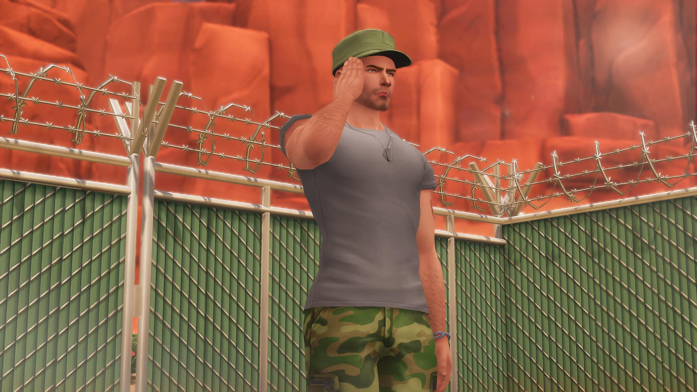 796871330_Military01.png.13b8e645da0fcac9c2cd1b16c87e7a4d.png
