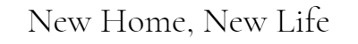 Removal-848.png.db14c8ce13b90a5b72526e67bb4ae2ad.png