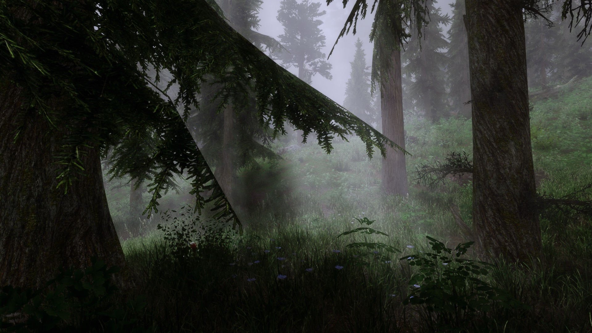 ScreenShot1245.jpg.eb1f81d087e91441a5d89775768d2c80.jpg