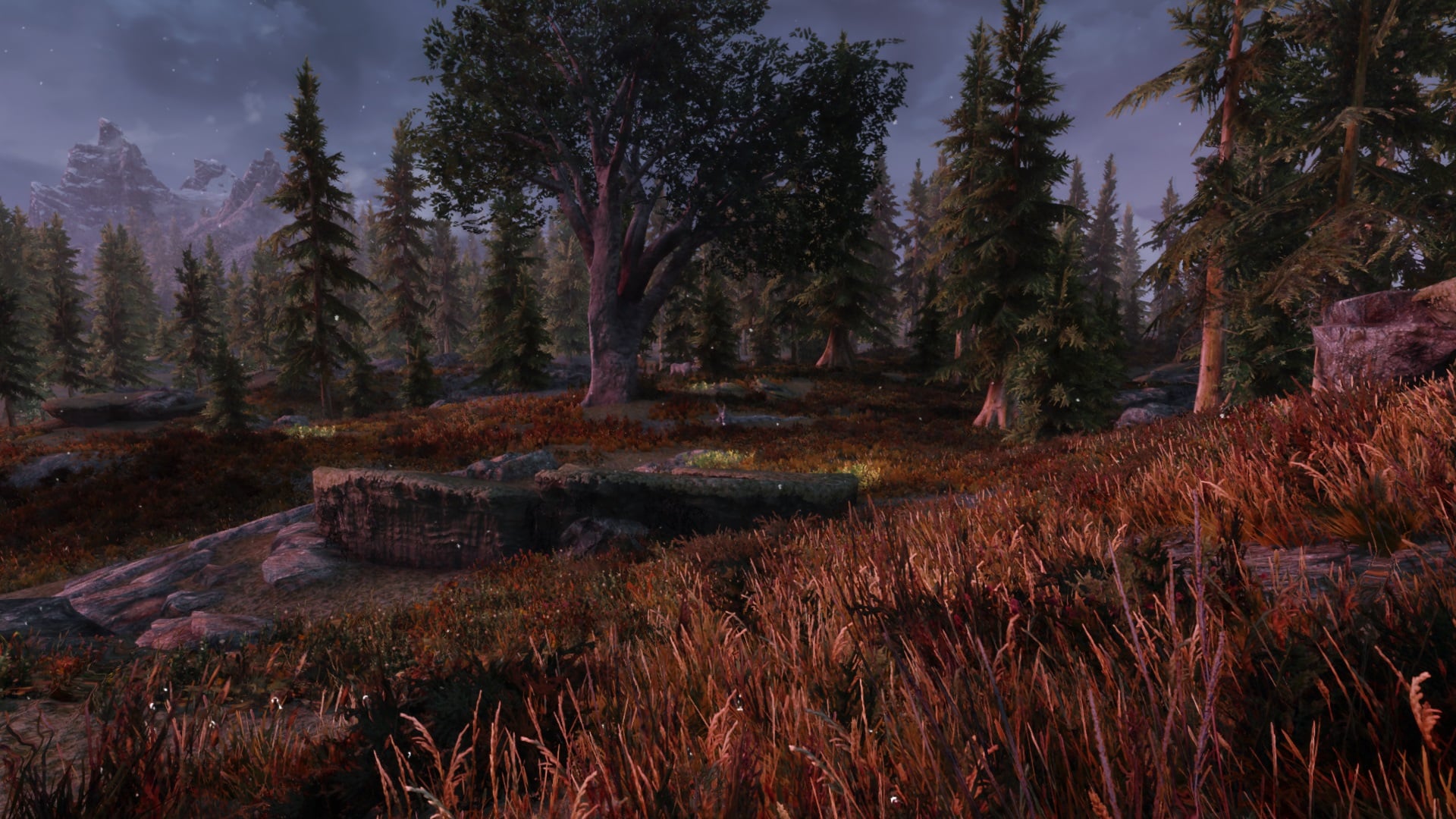 ScreenShot1432.jpg.cb6900535281526e4973af5c90b982e8.jpg
