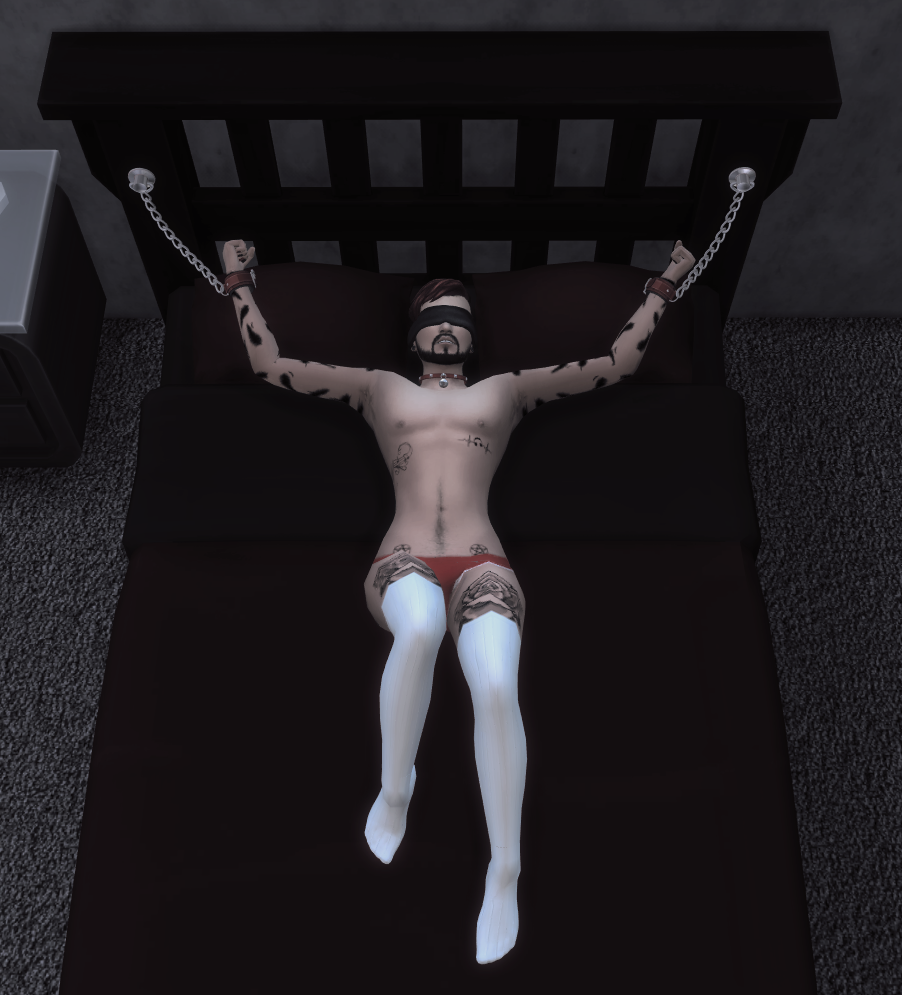 TS4_x64_2021-02-15_23-15-47.png.3b6cf61449cd604b1db9df937100c192.png