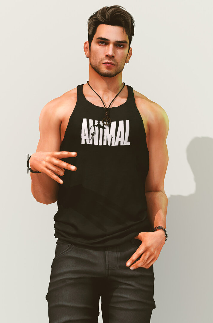 Trav_Render1.jpg