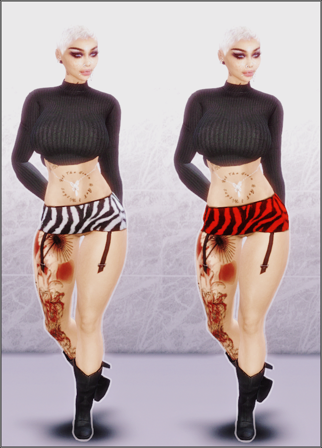 zebraskirt2.png.871536a706c64dea59b4a08e8bf01dd5.png