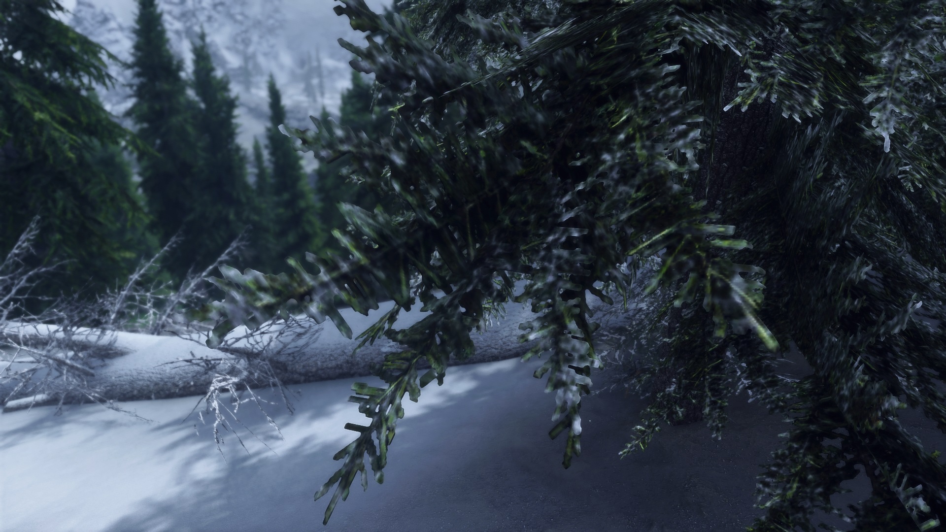 112014212_SkyrimSE2021-04-0719-11-22.jpg.e58ba39f95dd287e9fd258c91c5f697f.jpg