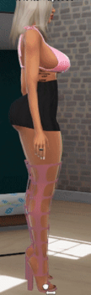 1916031375_profilthickness.gif.1b492bc308607a427e61c90da17fa336.gif