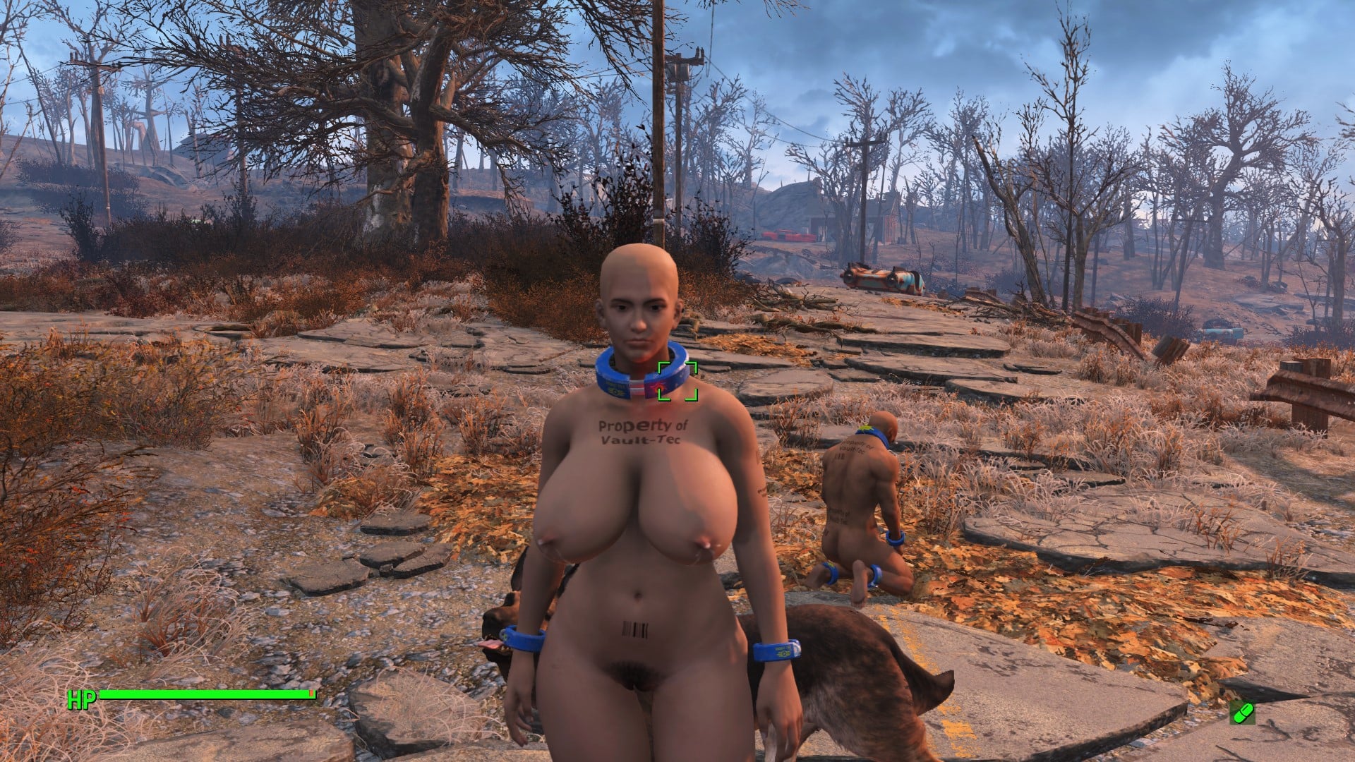 2104825876_Screenshot(273).jpg.c878d34a3e2b8a9d133c91fd69178ce2.jpg