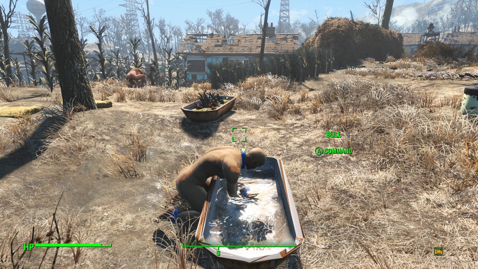 213250837_Screenshot(168).jpg.b667543e384252baa6e2f43ba935b728.jpg