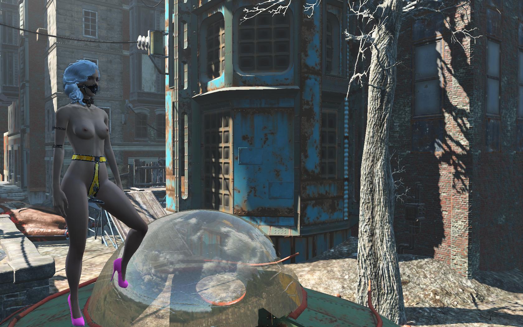 254992885_Fallout42021-04-1712-04-30-38.jpg.69fe742efc46ab6b2dda165fc5fa54c8.jpg