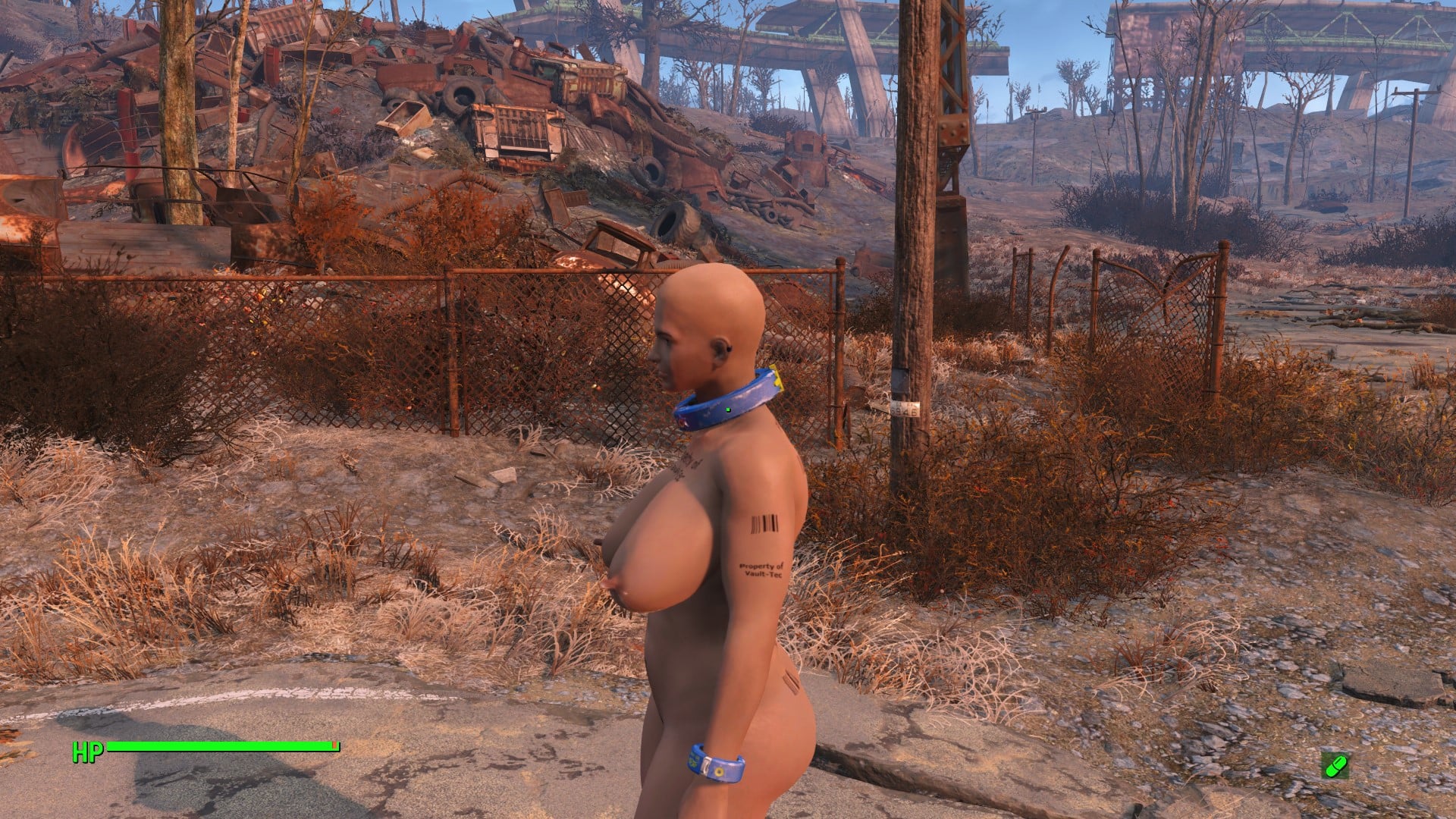 560757275_Screenshot(272).jpg.ec06c1a8e69d856bd44420d746391715.jpg