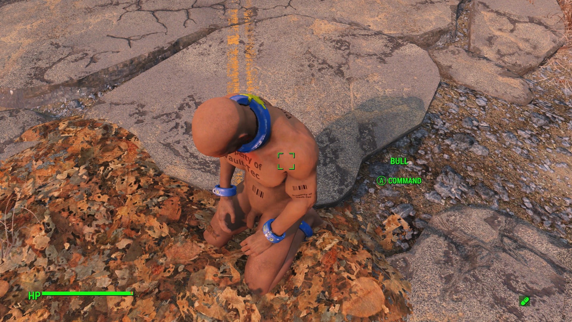 700478513_Screenshot(270).jpg.11020e4daef62eb8c5db730b897ce644.jpg