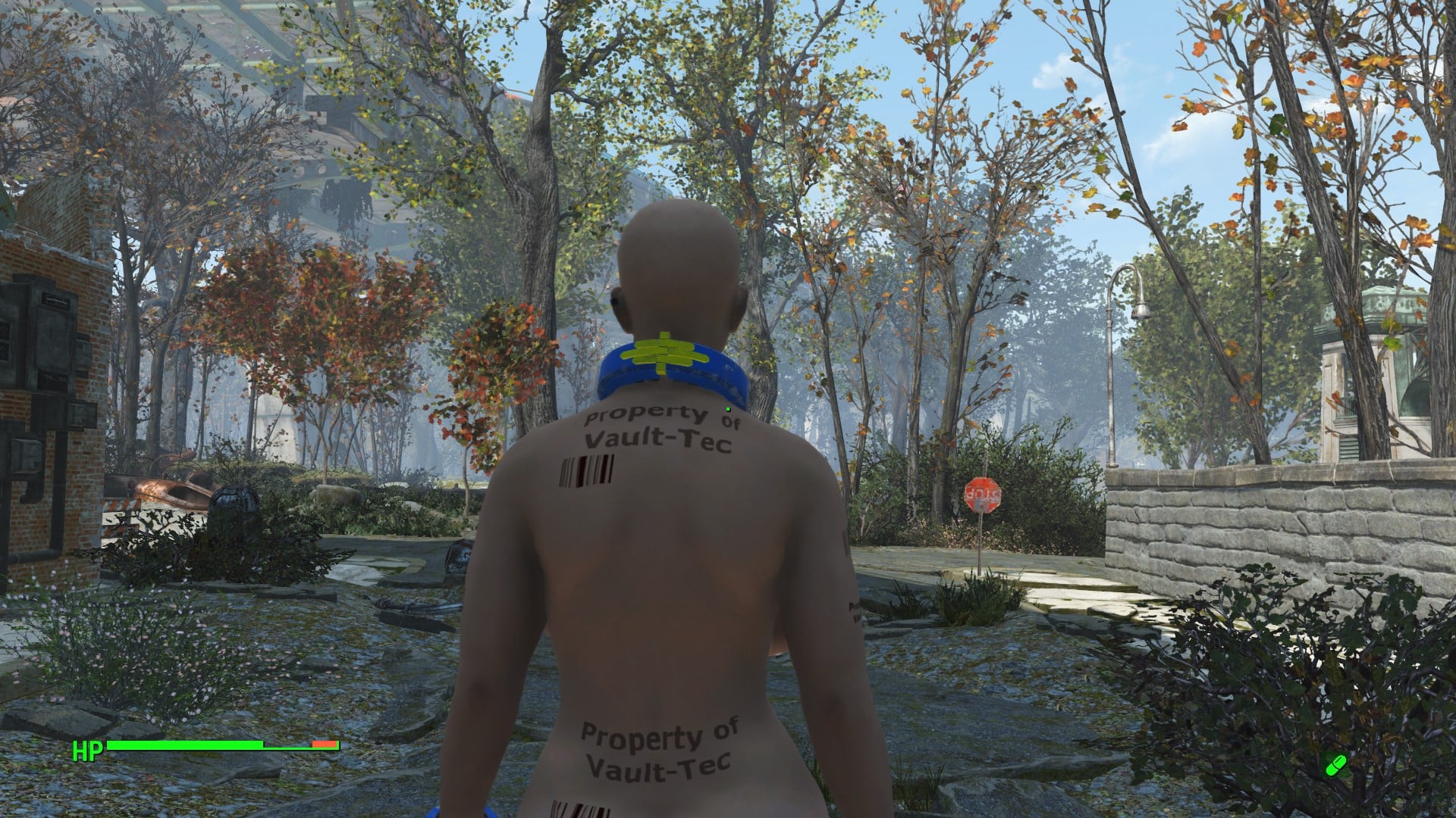 813378942_Screenshot(293).jpg.a4a2ff91cffbc1642f4a7d31d0122e17.jpg