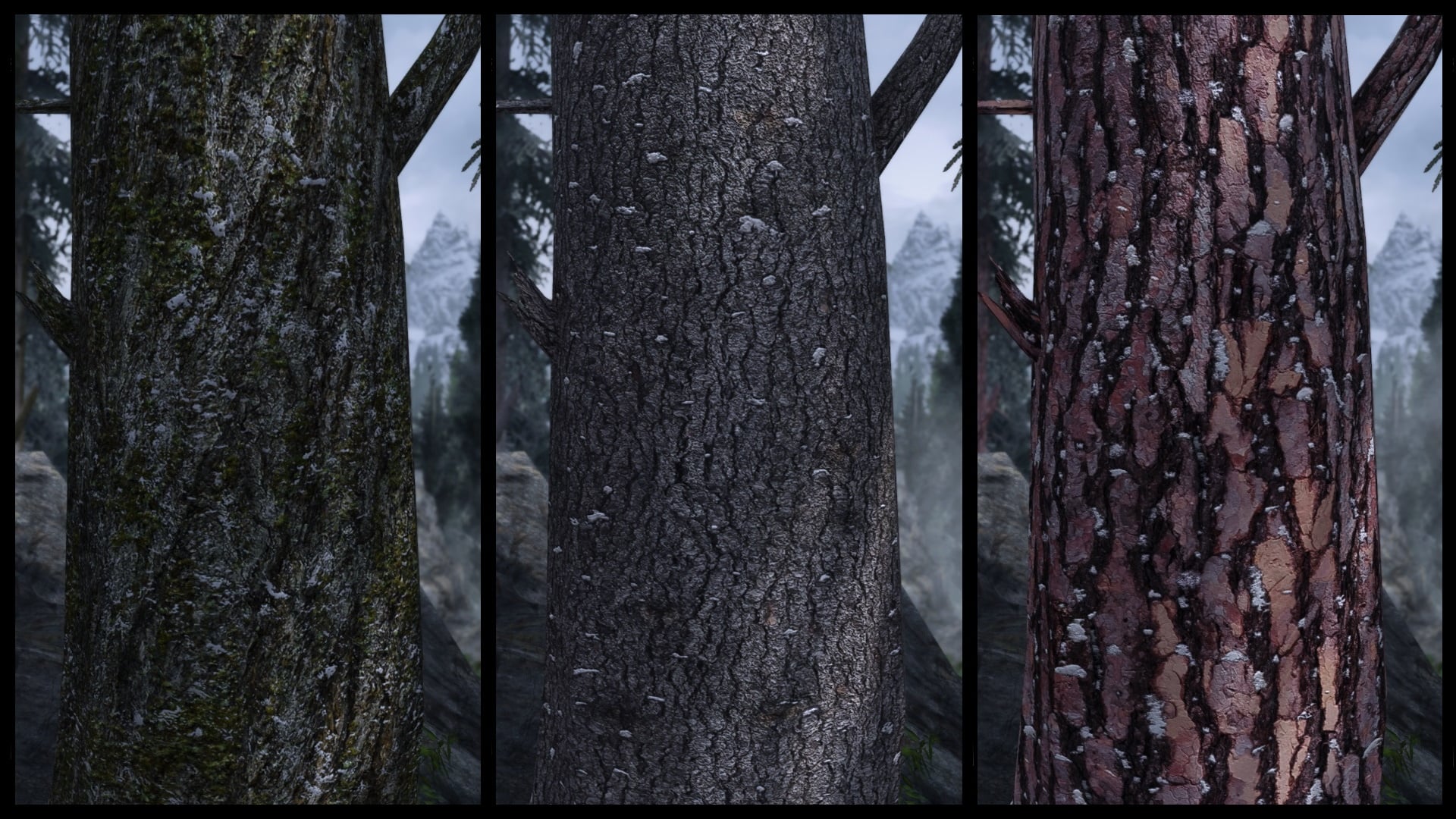 Bark.jpg.aceaad6d4b00c114628441cade050834.jpg