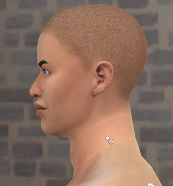 HEIGHTN.gif.26aa47524415595004cd1d861ee0c0e1.gif