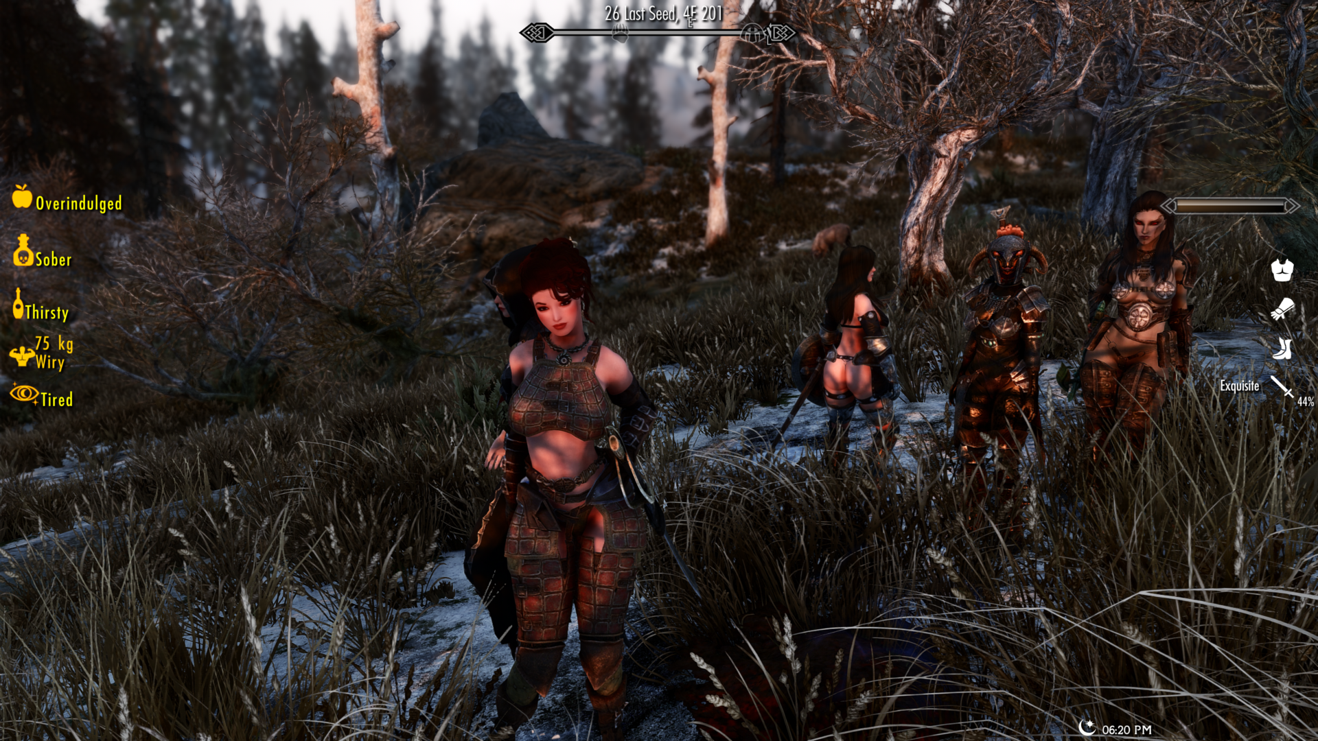 ScreenShot10.png