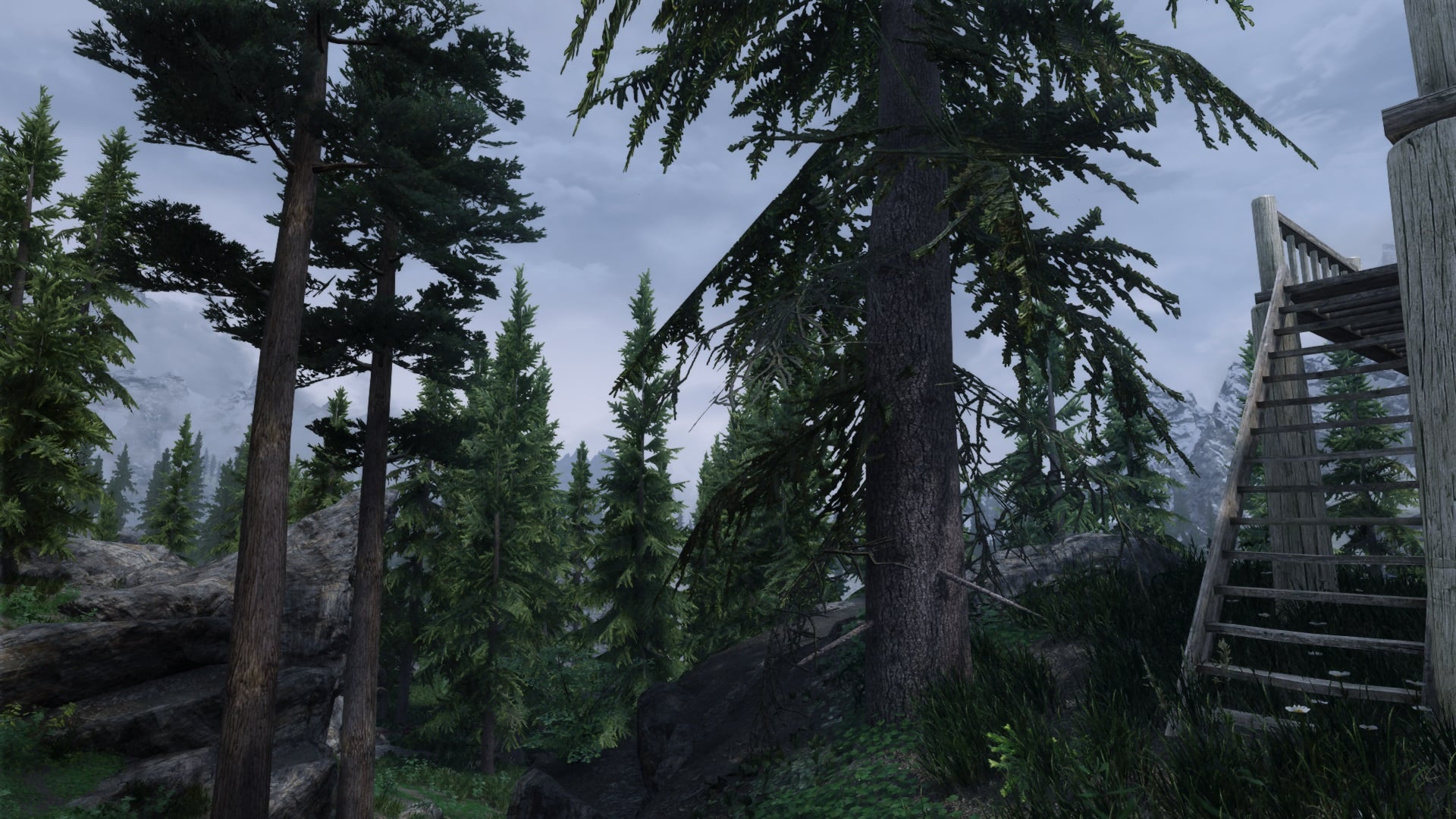ScreenShot1540.jpg.106311dc682cc1d8682baded69ac4745.jpg
