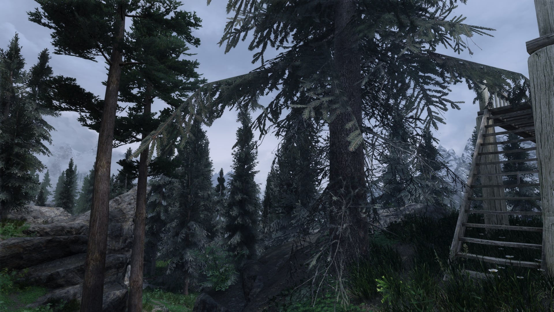 ScreenShot1545.jpg.28455ad064b9e74af876183205c9fc3c.jpg