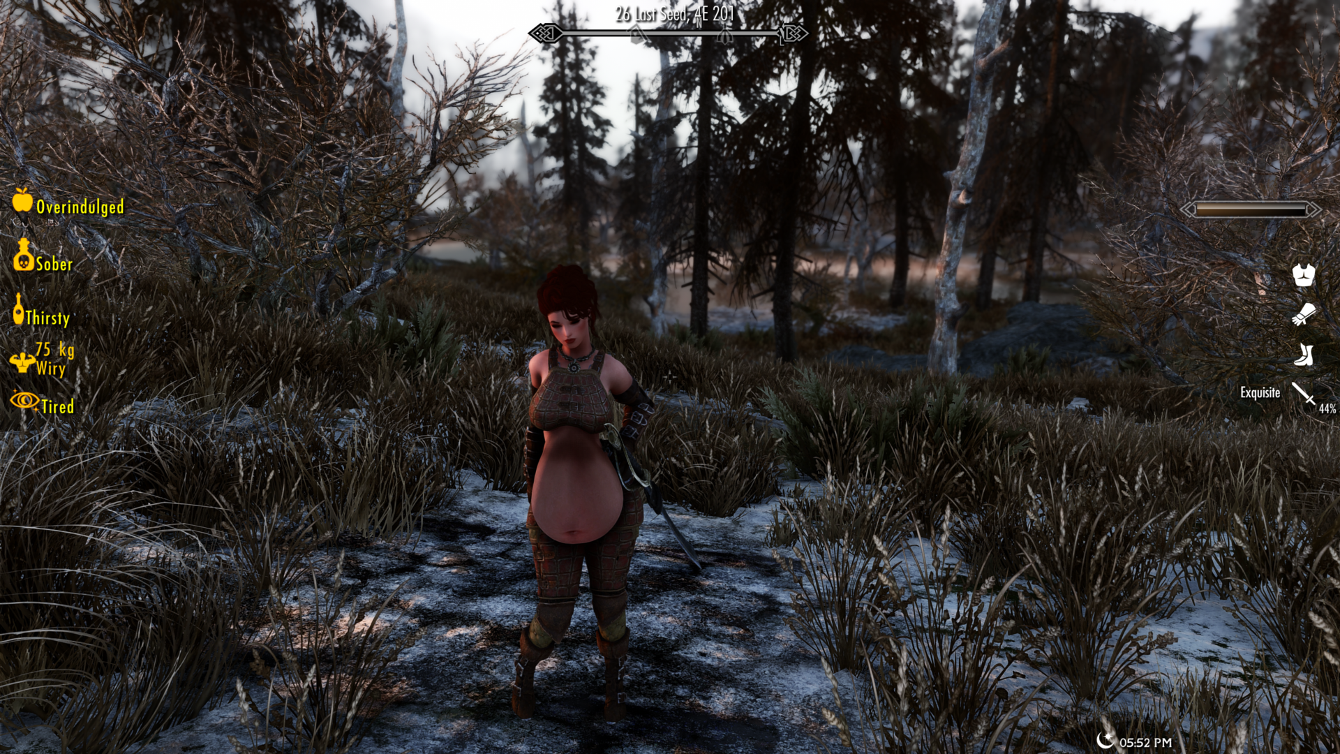ScreenShot9.png