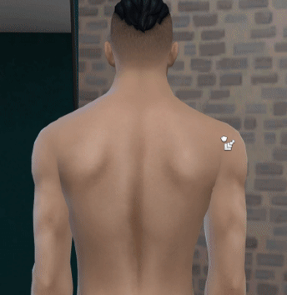 bACK.gif.263339fd2634b0ea2617df7a07e44edb.gif