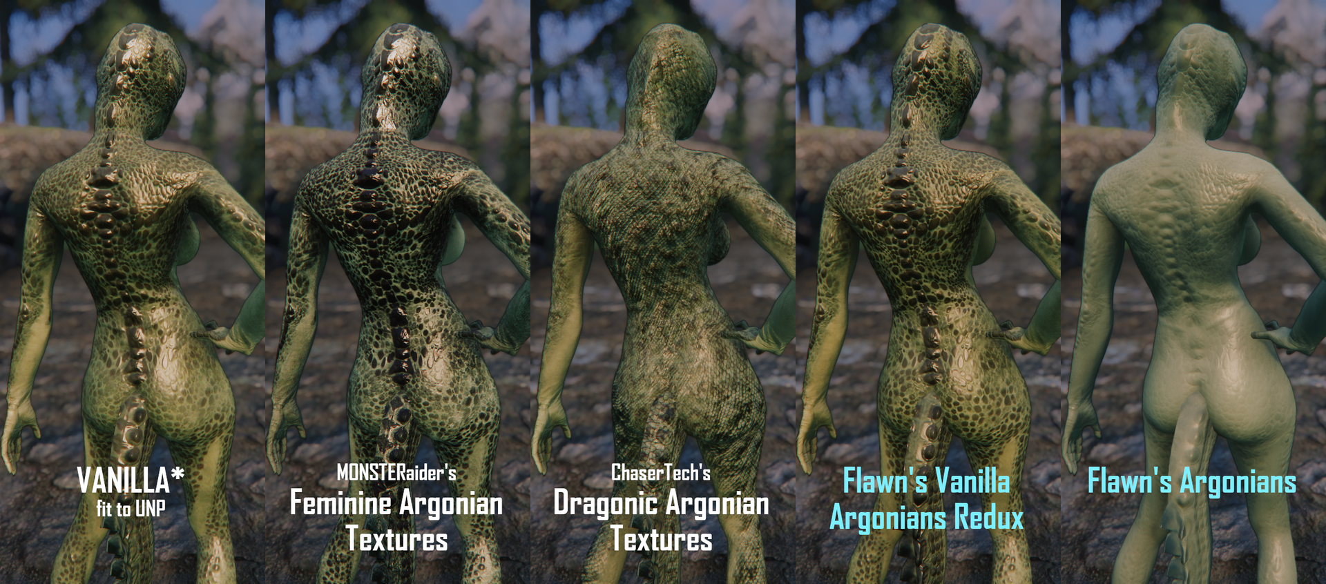 398629564_ArgonianComparisonChartFemaleBack.thumb.png.0fc754fc446d7e6ee13f9598f4c04725.png