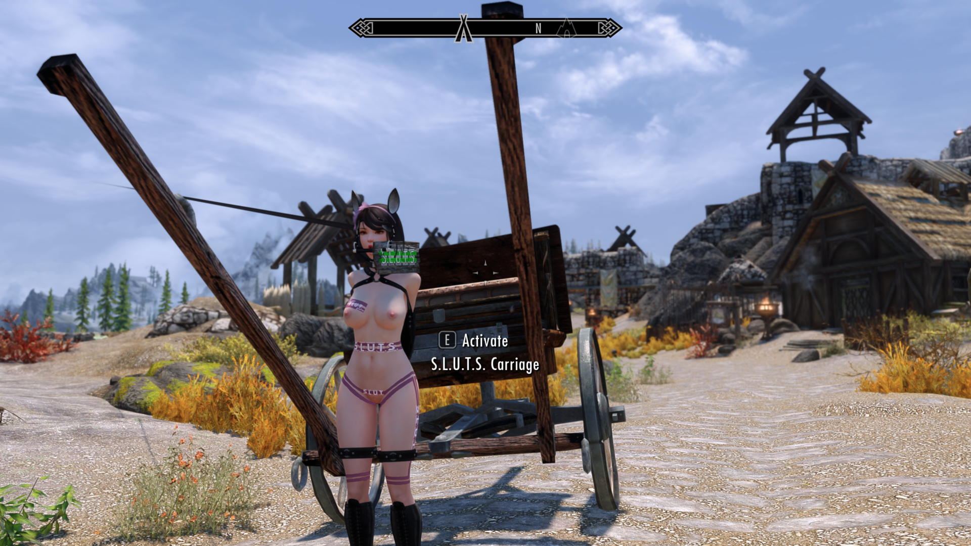 ScreenShot26.png