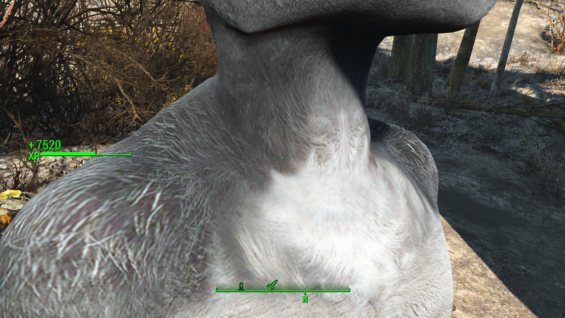 ScreenShot44.png