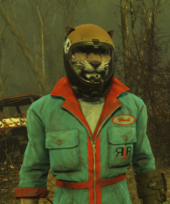 ScreenShot50.png