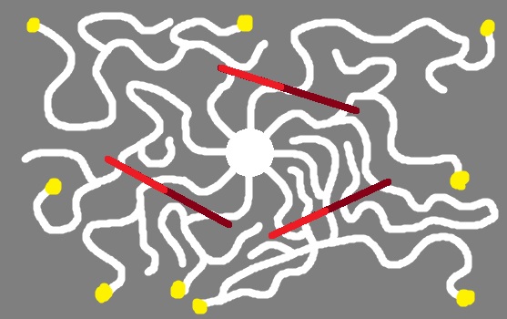 map.jpg.c1e9cc09debceca091a5db7b73899023.jpg