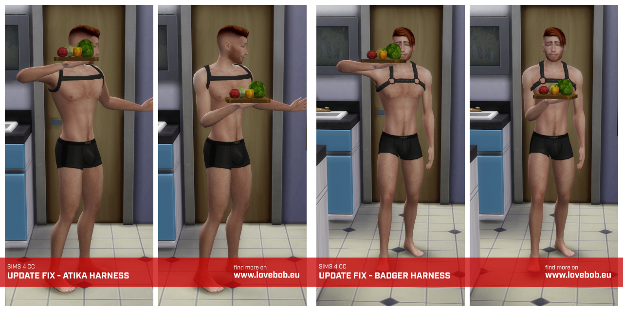 update_fix_harnesses_8.jpg.fcd51912d5a2fddd007f7a80da24f8d2.jpg