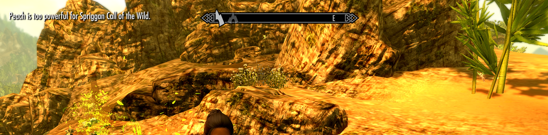 256877081_Sprigganbug2.png.f5fa7eab9365380c11f0a79dd0f09c53.png