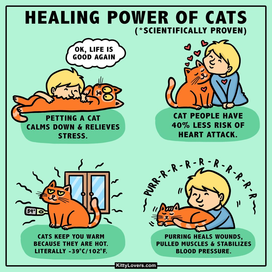 AdvantagesofCats.thumb.jpg.0598a8f289b22bbb52381eacfb4f25e3.jpg