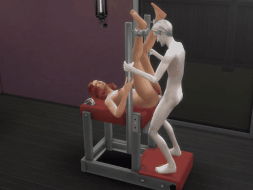 BridingBanch_Master2.gif