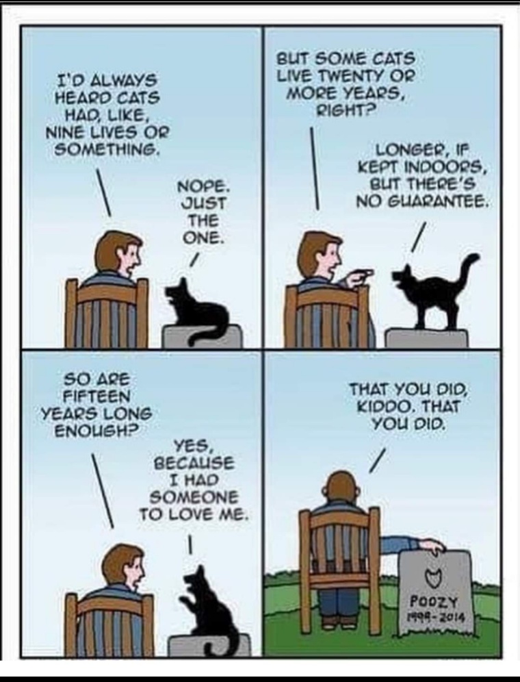 CatLongLIfe.jpg.f80b39af8f9e91900c08aa8a8de0471b.jpg