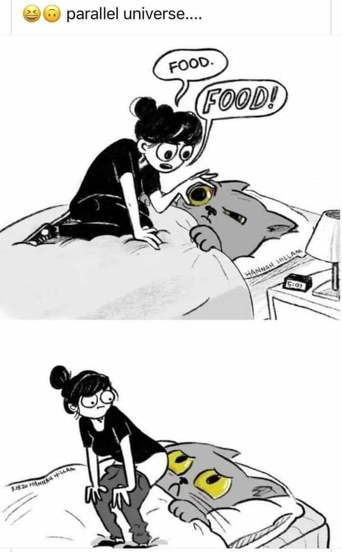 CatParallelUniverse.thumb.jpg.1caf3146b2fa038366b47661c8d0e691.jpg