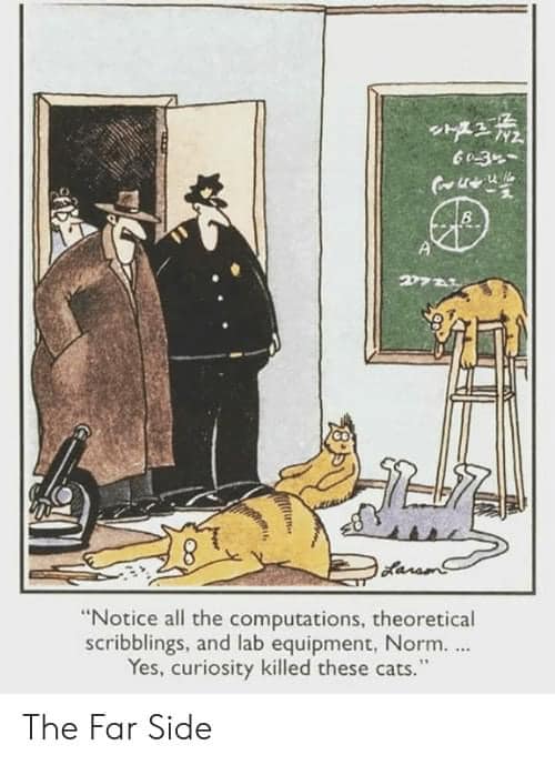 CuriosityCats.jpg.b850903f2eaa7ea3556cb965a56f3f90.jpg