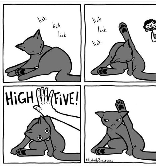 HighFiveCat.jpg.566ac2ec3cd00cfae78675ae03db53f2.jpg