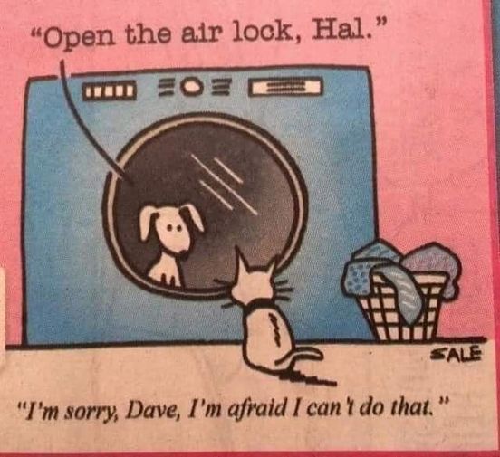 KittyAirlock.jpg.fc4abdeb764fc600a611d94f7c2aca4b.jpg