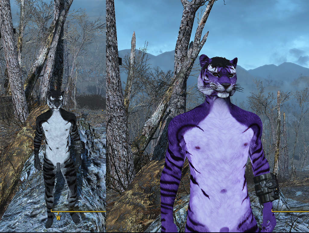 Version4TigerTintExmples.jpg.018c3a04216dd74331465c7f50d5839b.jpg