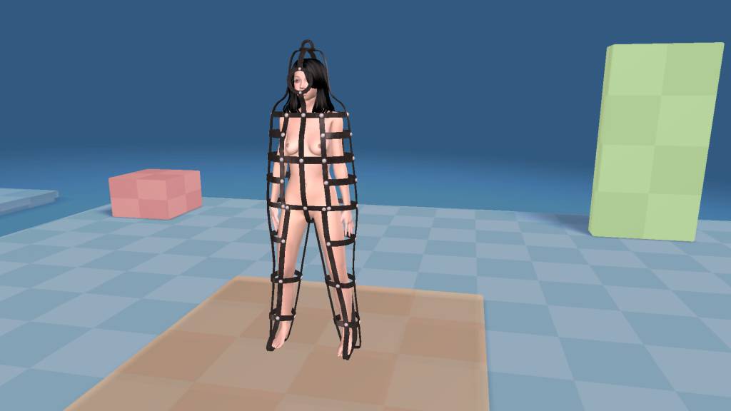bodycage.jpg.8350e678ba974f2b3135386d86ee3fe8.jpg
