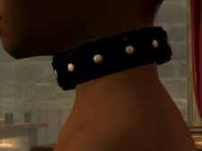 collar.png.d71082efe95da79de595c37a890f43a0.png