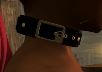 collar2.png.412baf1e3d5c4d09a5d35d1e4d8e7583.png