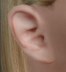 ear_image.jpg.3d45ea6e2351f319108ae9e735b70677.jpg