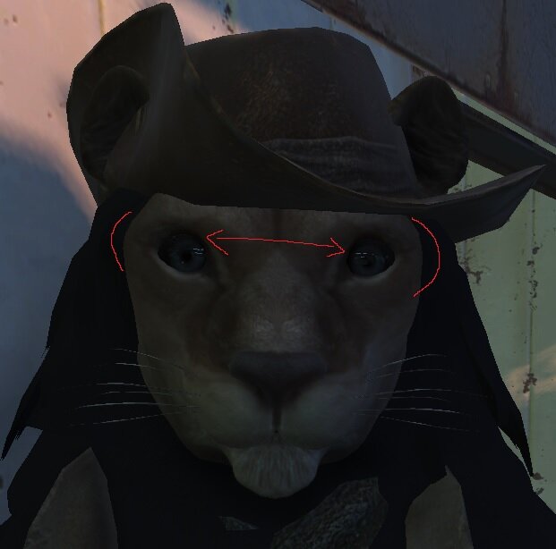 Broadeyes.jpg.a21bb1486e39b36b99fed06aeb0d69b8.jpg