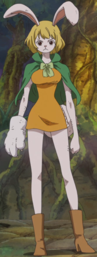 Carrot_Anime_Infobox.png.aadfb40a7d96fbc46c89e6555b160530.png