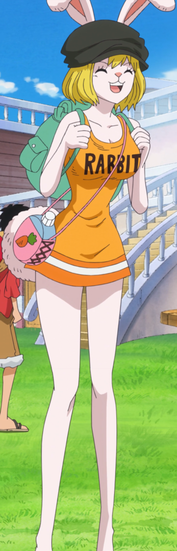 Carrot_Casual_Outfit.thumb.png.71a522bda8bd0ea1e596b0a9f186d18f.png