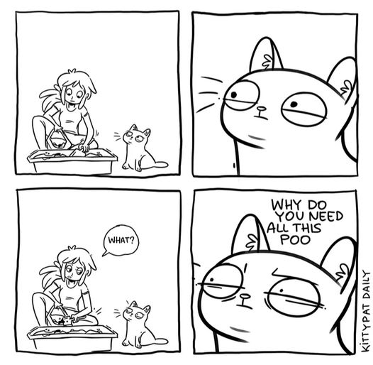 CatPoo.jpg.b2678af944af67ddd23f9db49fca7421.jpg