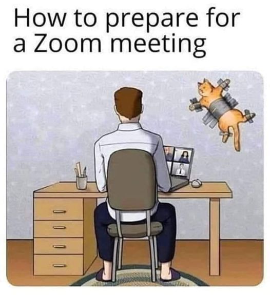 CatTapeZoomMeetingPrep.jpg.7b8ab45b8f9c65d08421971c3dd230fb.jpg