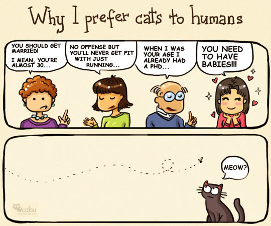 CatsareBetter.jpg.fdec3f756daa62f822c1c0bb355b111d.jpg