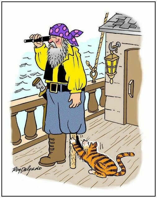CatsbannedonPirateShips.jpg.9193a60770b0e3d120c3a92b3c501468.jpg