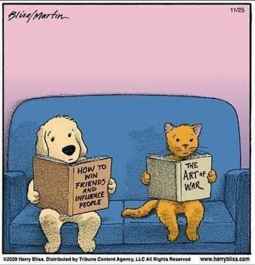 Catwar.jpg.8cd7f747da6330fe8bb7c887a37abe62.jpg